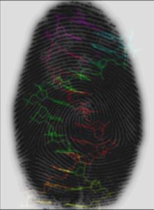 Detecting the DNA 'fingerprint' of a pathogen