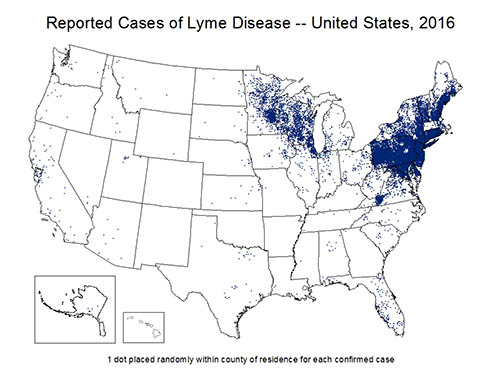 Lyme Disease Map