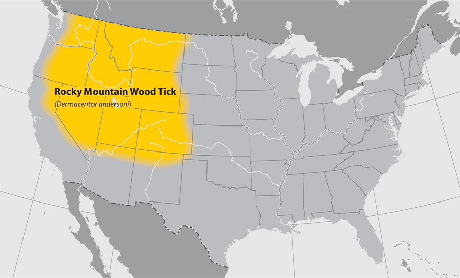 Rocky Mountain Wood Tick Map