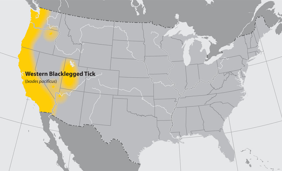 Western Blacklegged Tick Map